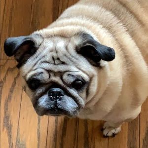 Meet your Posher, Deena